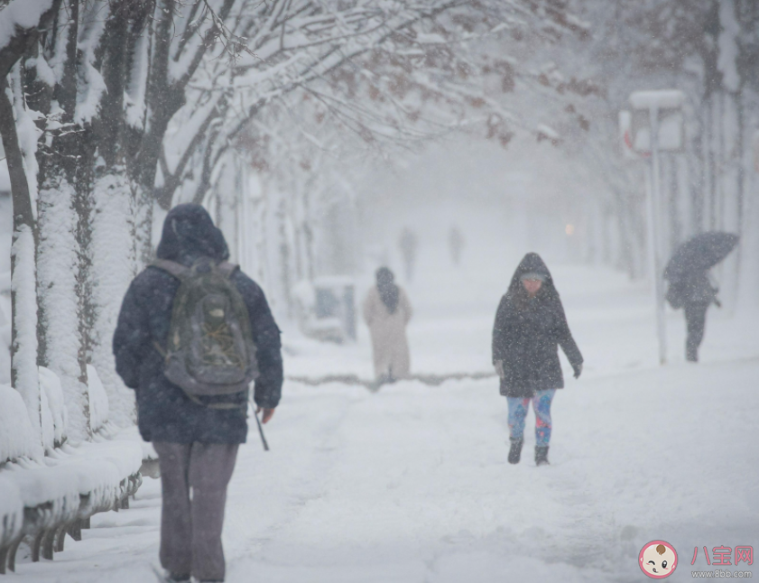 暴风雪是一种什么雪 遭遇暴风雪该如何避险自救