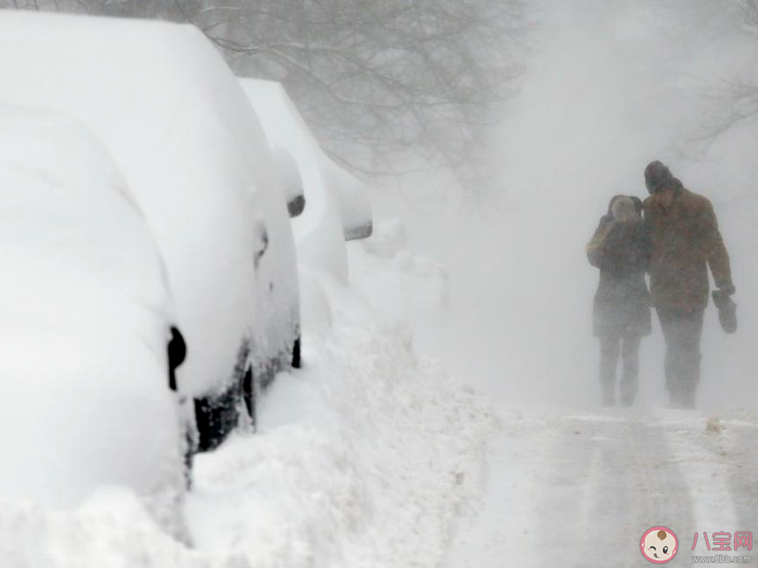 暴风雪是一种什么雪 遭遇暴风雪该如何避险自救