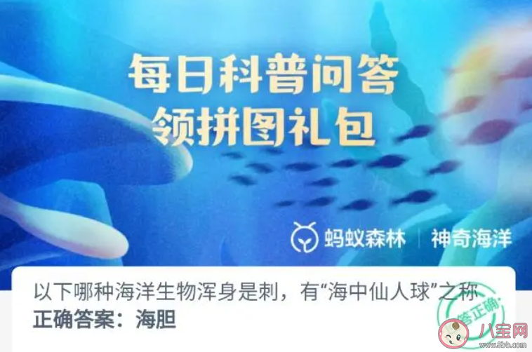 以下哪种海洋生物浑身是刺有海中仙人球之称 神奇海洋11月15日答案介绍