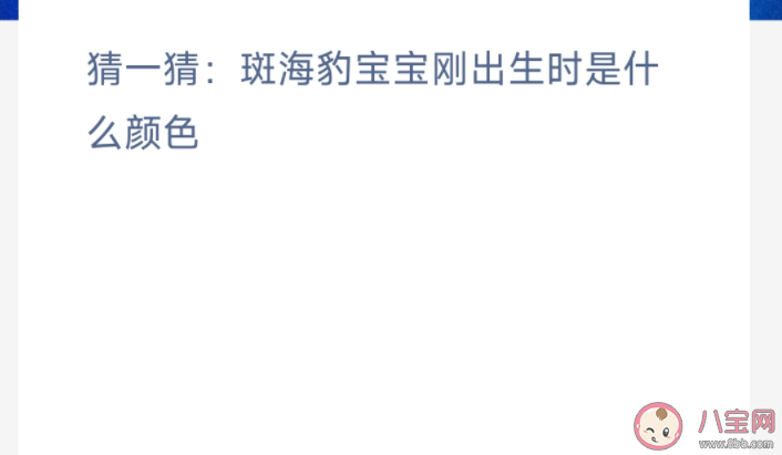 猜一猜斑海豹宝宝刚出生时是什么颜色 神奇海洋11月16日答案