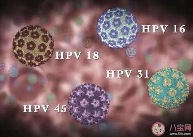 男性感染HPV有哪些症状 为什么男性也会感染HPV