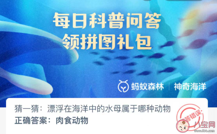 漂浮在海洋中的水母属于哪种动物 神奇海洋11月28日答案