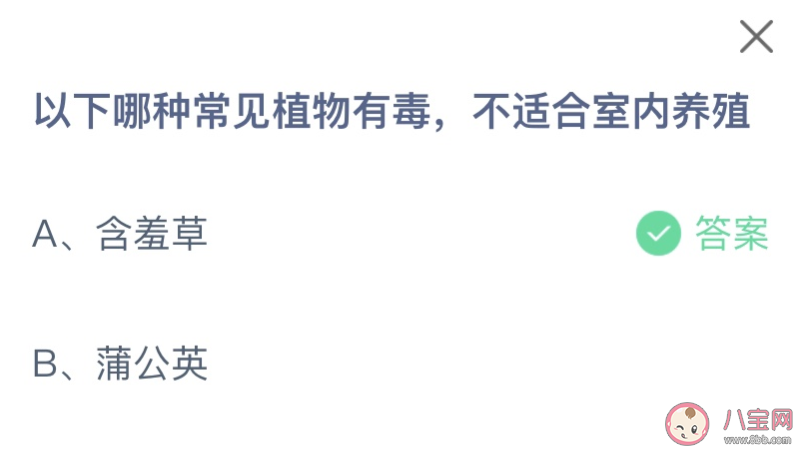 以下哪种常见植物有毒不适合室内养殖 蚂蚁庄园12月2日答案最新