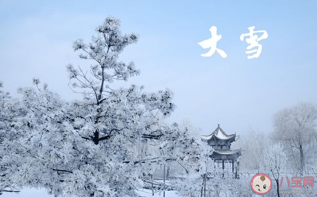 民谚大雪小雪煮饭不息说的是仲冬时节怎样 蚂蚁庄园12月7日答案