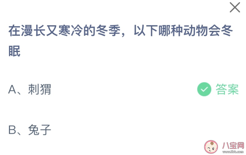 在漫长又寒冷的冬季以下哪种动物会冬眠 蚂蚁庄园12月12日答案