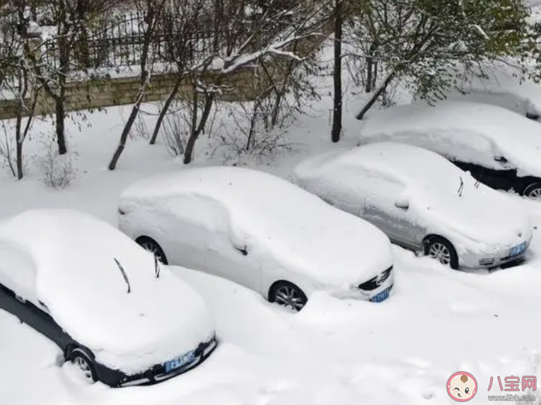 降雪能冻死病毒吗 下场雪生病的人真就少了吗