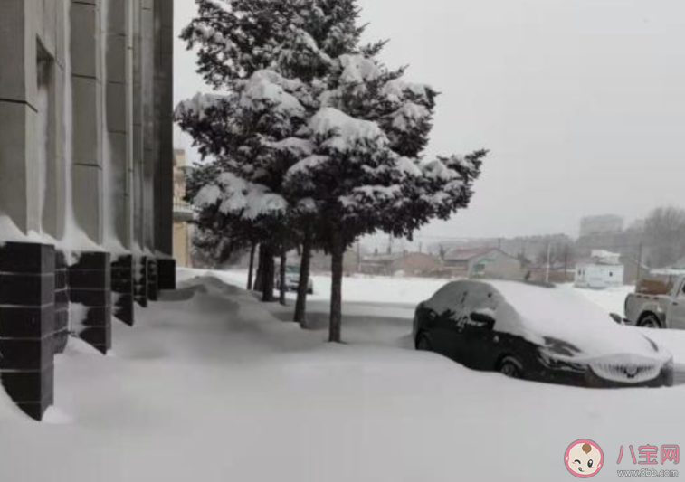 降雪能冻死病毒吗 下场雪生病的人真就少了吗