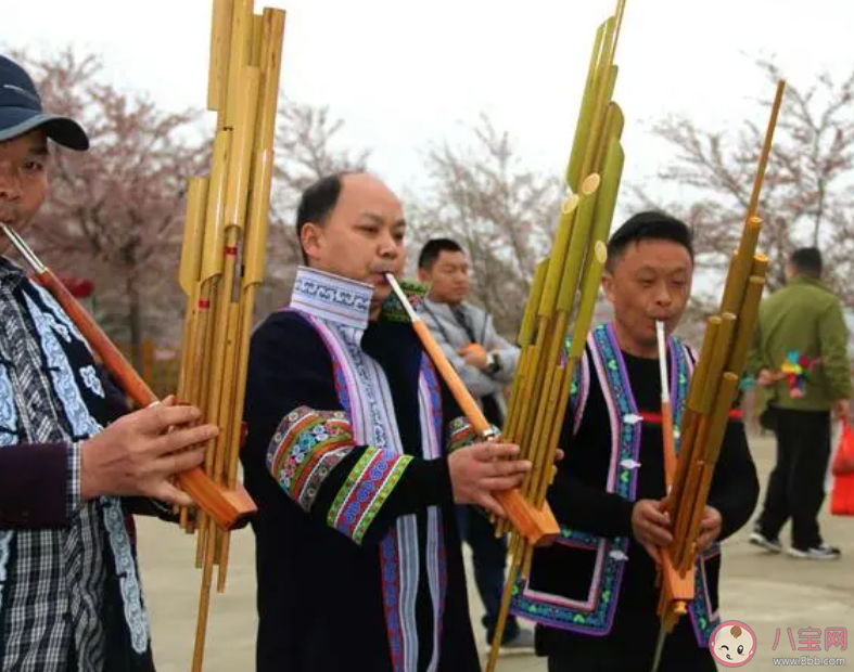 以下哪个少数民族的芦笙制作技艺入选了国家级非遗名录 蚂蚁新村12月15日答案