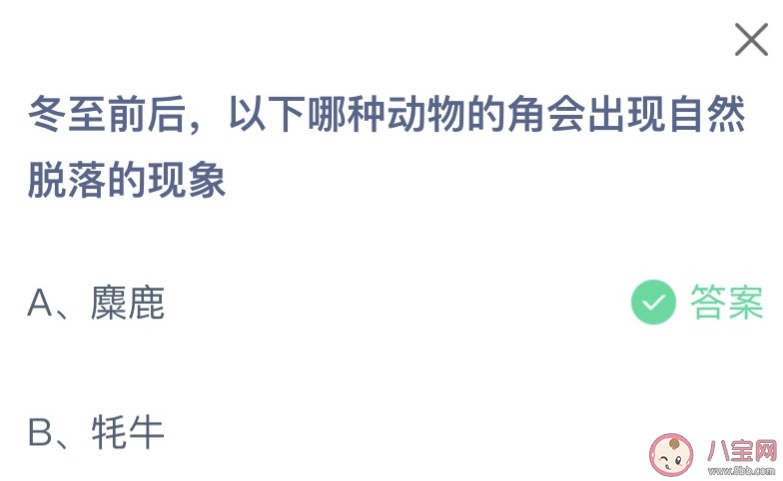 冬至前后以下哪种动物的角会出现自然脱落的现象 蚂蚁庄园12月22日答案