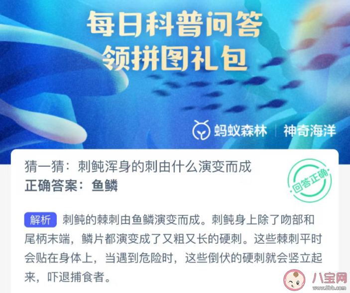 刺鲀浑身的刺由什么演变而成 神奇海洋12月26日答案