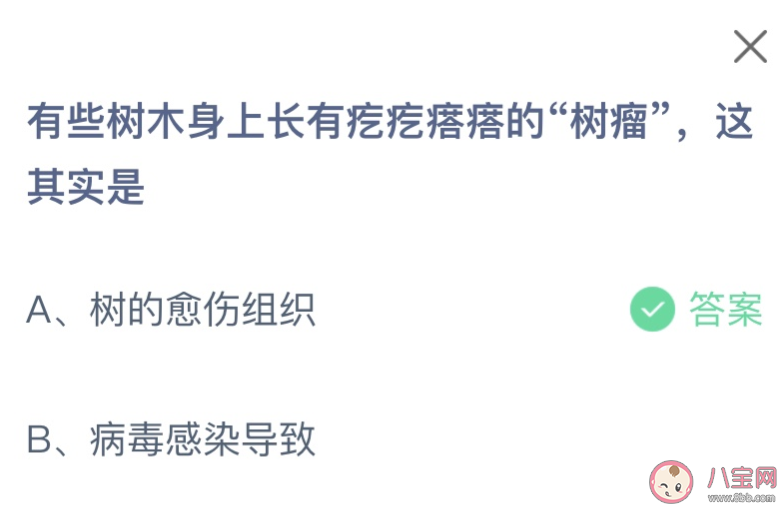 有些树木身上长有疙疙瘩瘩的树瘤这其实是什么 蚂蚁庄园1月3日答案