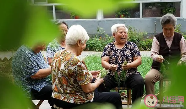 教授建议退休人员卖房去乡村养老 养老选乡村还是城市