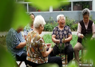 教授建议退休人员卖房去乡村养老 养老选乡村还是城市