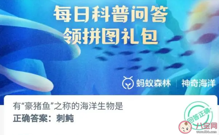 有豪猪鱼之称的海洋生物是什么 神奇海洋1月12日答案