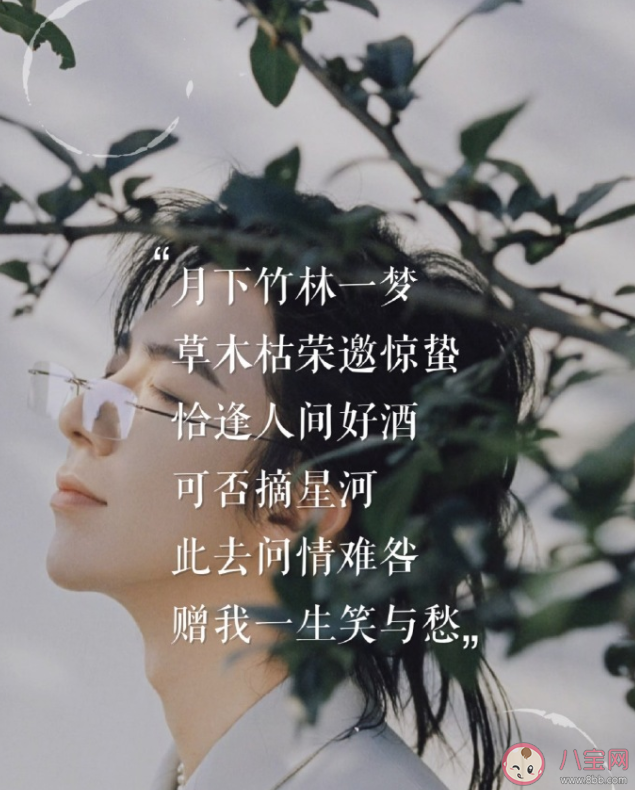 刘宇宁《天河梦》歌词是什么 《天河梦》歌词歌曲介绍