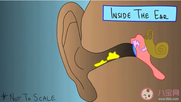 普通人没必要掏耳屎吗 掏耳屎几天一次最好