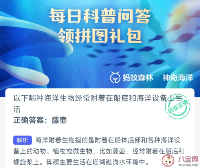 以下哪种海洋生物经常附着在船底和海洋设备上生活 神奇海洋1月30日答案