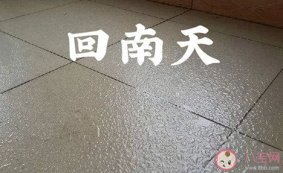 回南天该怎么防潮 为什么会有回南天