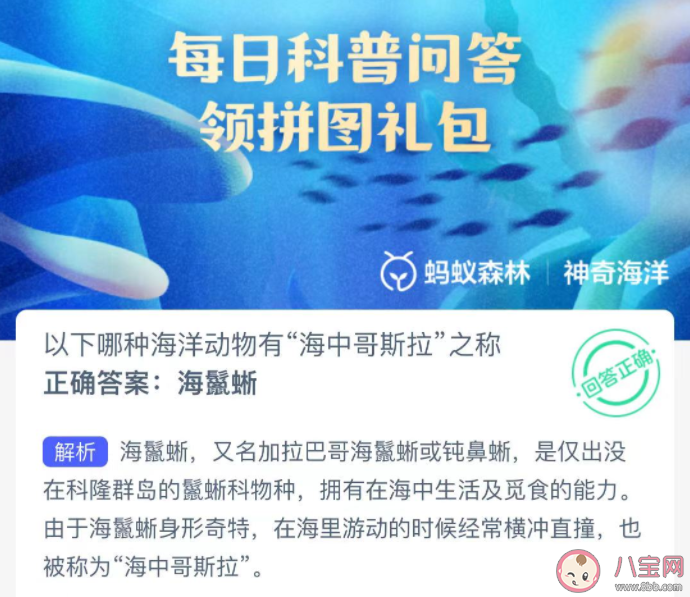 以下哪种海洋动物有海中哥斯拉之称 神奇海洋2月3日答案