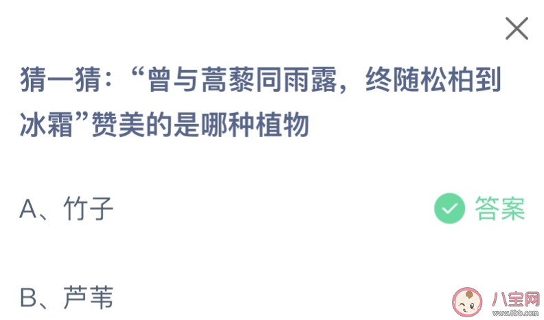 曾与蒿藜同雨露终随松柏到冰霜赞美的是哪种植物 蚂蚁庄园2月6日答案