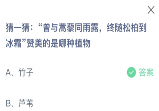 曾与蒿藜同雨露终随松柏到冰霜赞美的是哪种植物 蚂蚁庄园2月6日答案