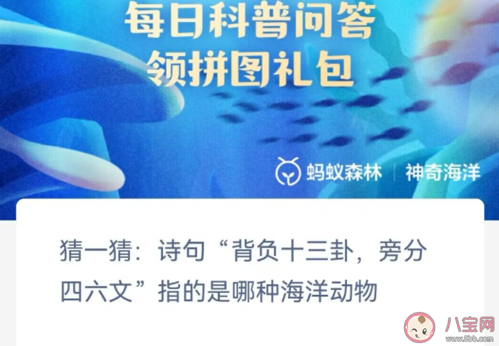 诗句背负十三卦旁分四六文指的是哪种海洋动物 神奇海洋2月6日答案