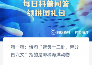 诗句背负十三卦旁分四六文指的是哪种海洋动物 神奇海洋2月6日答案