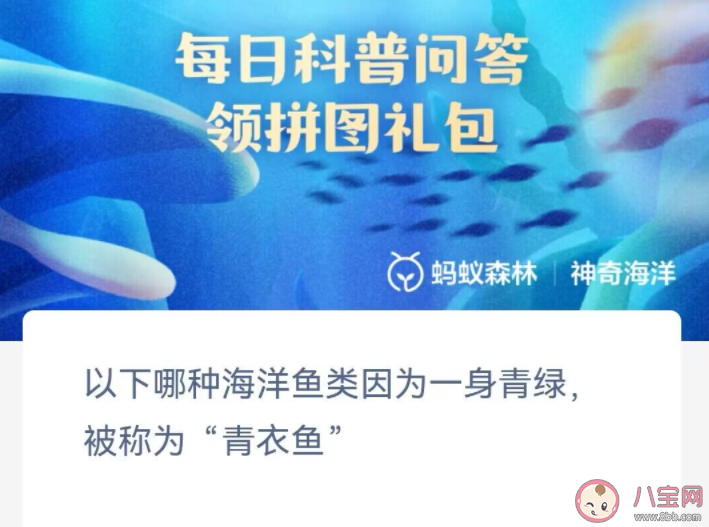 以下哪种海洋鱼类因为一身青绿被称为青衣鱼 神奇海洋2月7日答案