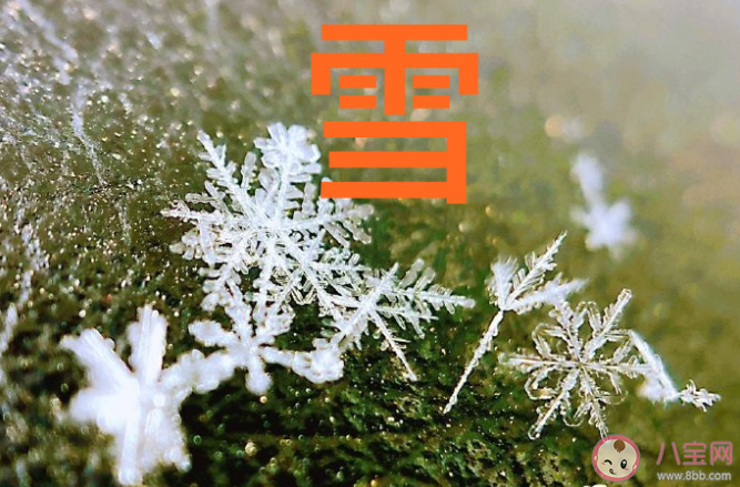 霰是冰粒还是雪 大范围雨雪冰冻天气怎么办