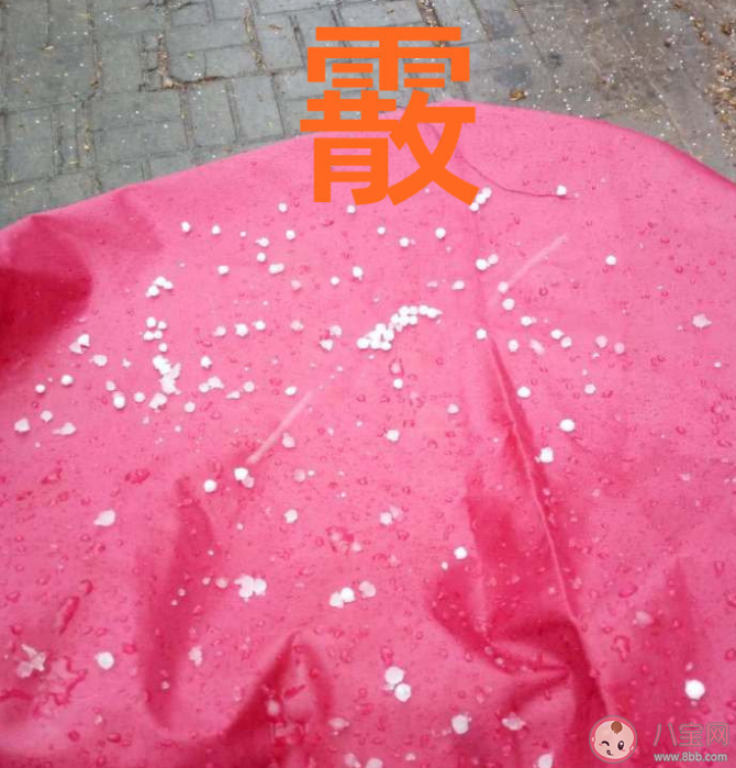 霰是冰粒还是雪 大范围雨雪冰冻天气怎么办