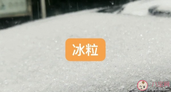 霰是冰粒还是雪 大范围雨雪冰冻天气怎么办