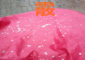 霰是冰粒还是雪 大范围雨雪冰冻天气怎么办