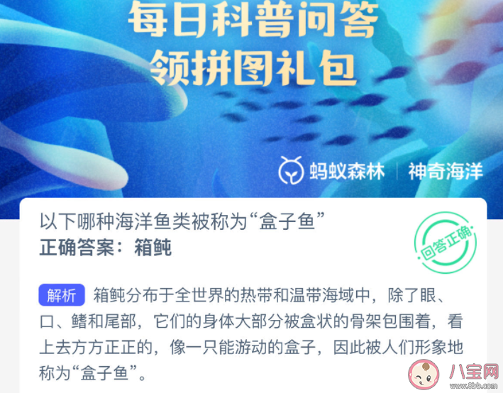 以下哪种海洋鱼类被称为盒子鱼 神奇海洋3月4日答案