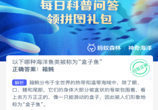 以下哪种海洋鱼类被称为盒子鱼 神奇海洋3月4日答案