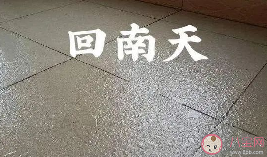 广东现在是一个巨大的水帘洞 回南天该怎么办