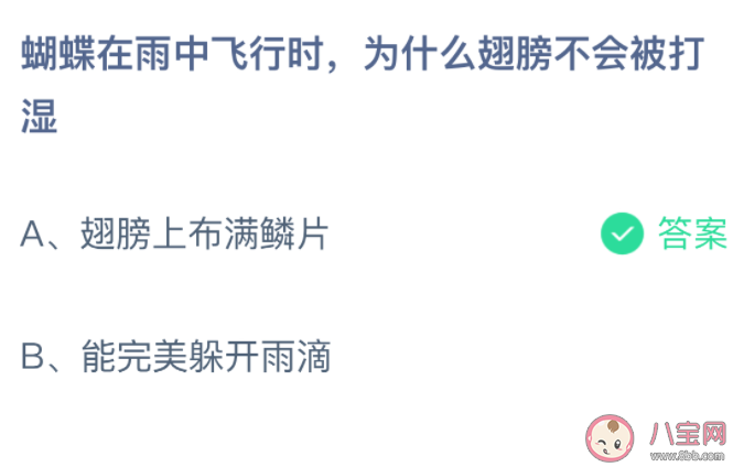 蝴蝶在雨中飞行时为什么翅膀不会被打湿 蚂蚁庄园3月21日答案