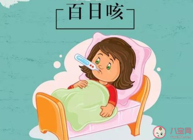 蒜泥冰糖水可缓解百日咳频咳吗 孩子患百日咳怎么办