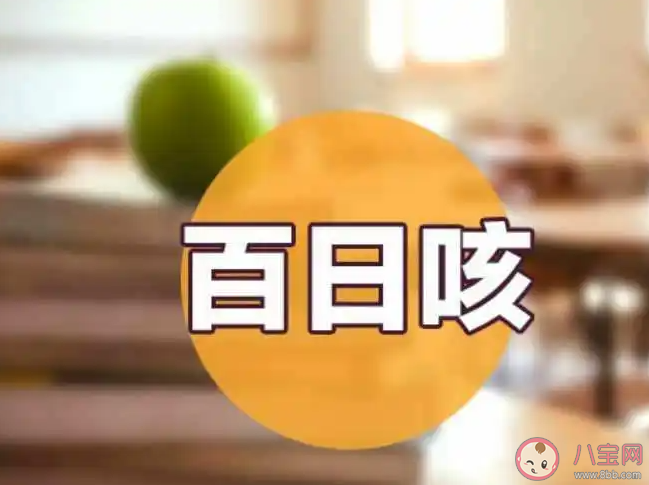 蒜泥冰糖水可缓解百日咳频咳吗 孩子患百日咳怎么办