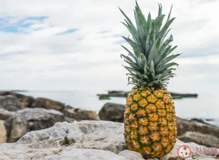 有岭南四大名果之称的水果是荔枝香蕉木瓜和什么 蚂蚁庄园4月9日答案